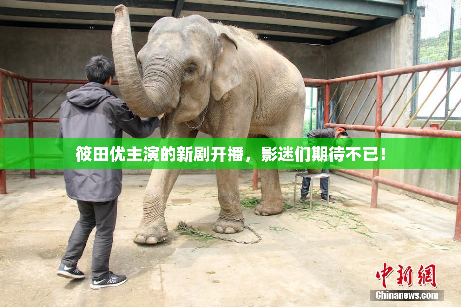 筱田优主演的新剧开播，影迷们期待不已！