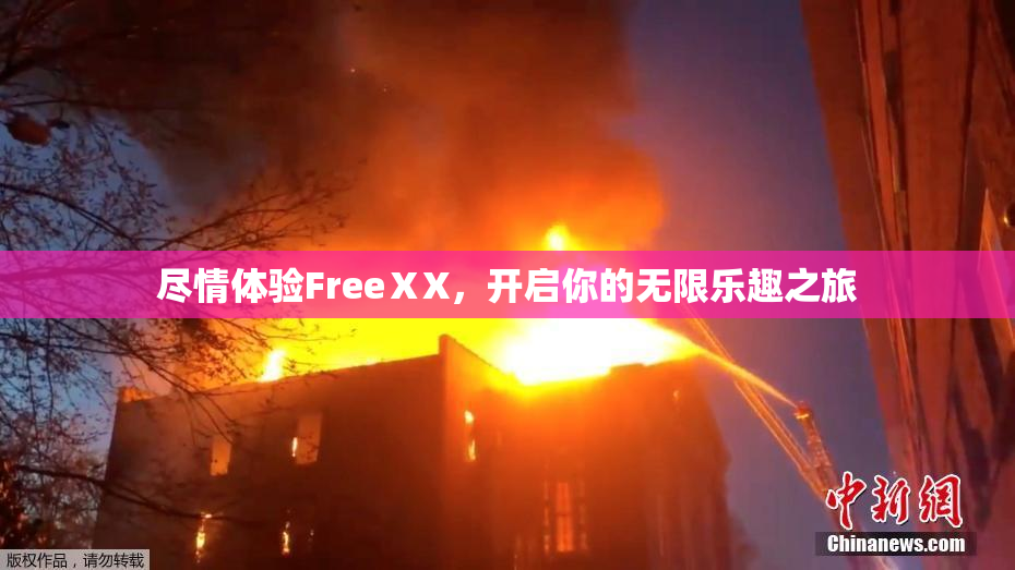 尽情体验FreeⅩX，开启你的无限乐趣之旅