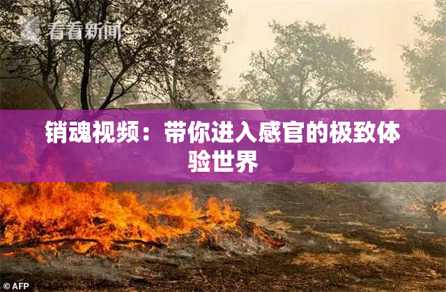 销魂视频：带你进入感官的极致体验世界