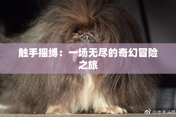 触手捆缚：一场无尽的奇幻冒险之旅