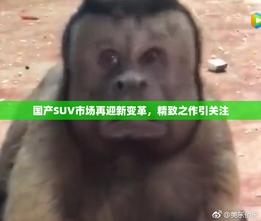 国产SUV市场再迎新变革，精致之作引关注