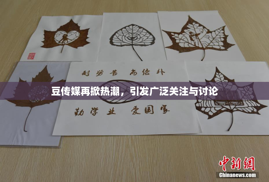 豆传媒再掀热潮，引发广泛关注与讨论