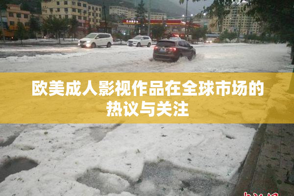 欧美成人影视作品在全球市场的热议与关注