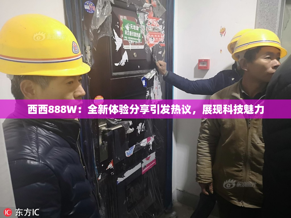西西888W：全新体验分享引发热议，展现科技魅力