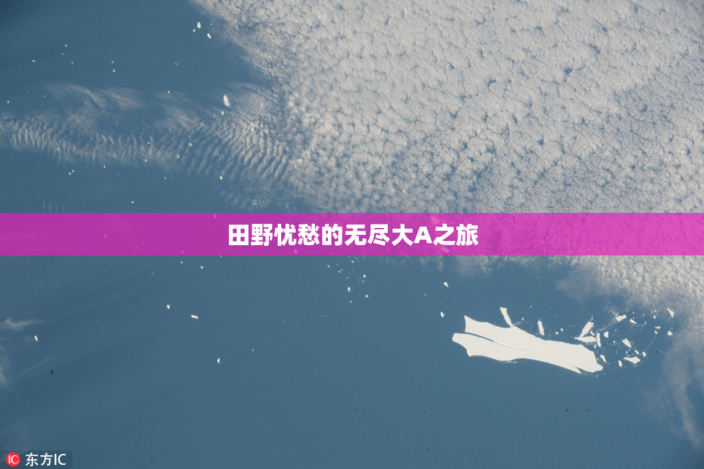 田野忧愁的无尽大A之旅