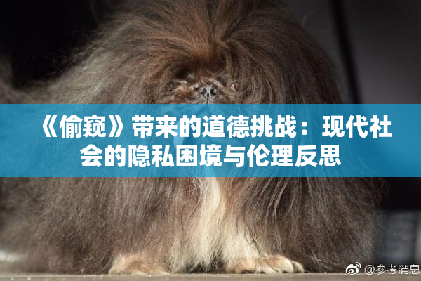 《偷窥》带来的道德挑战：现代社会的隐私困境与伦理反思
