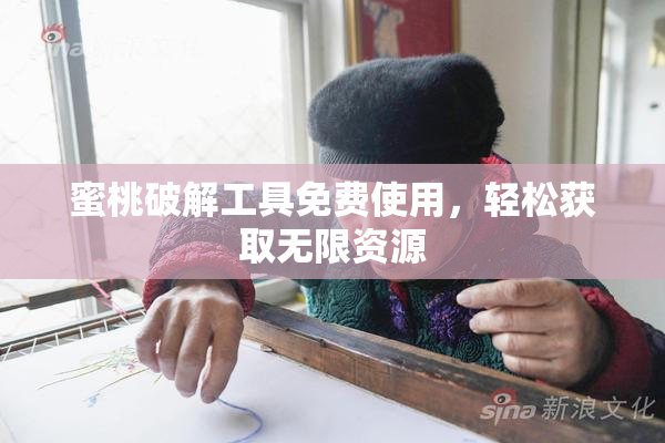 蜜桃破解工具免费使用，轻松获取无限资源