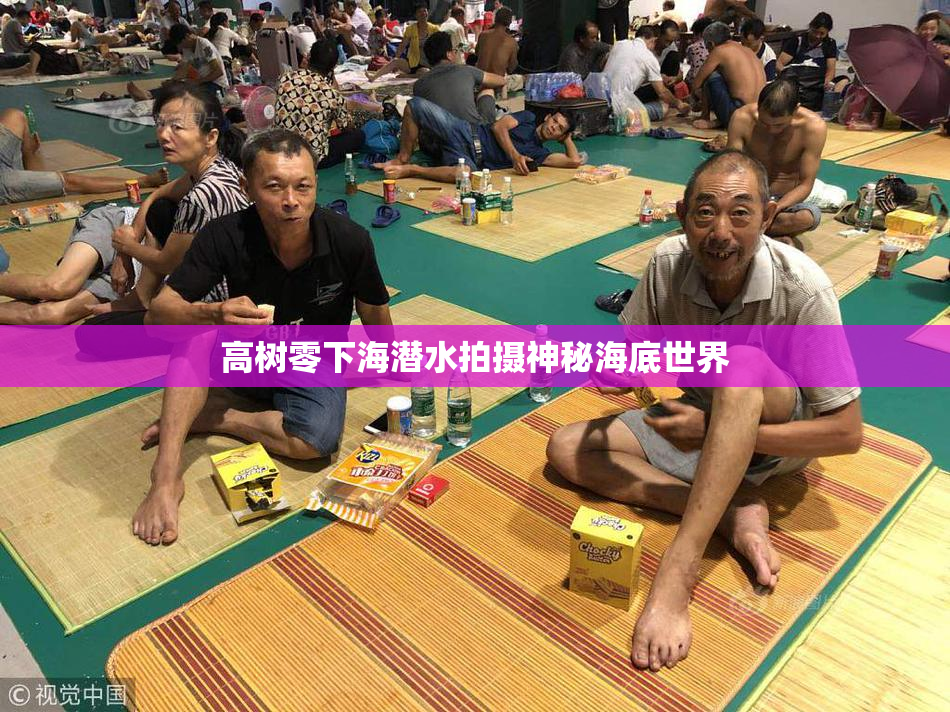 高树零下海潜水拍摄神秘海底世界