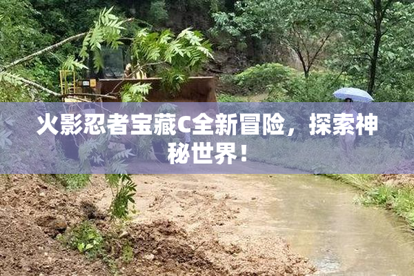 火影忍者宝藏C全新冒险，探索神秘世界！