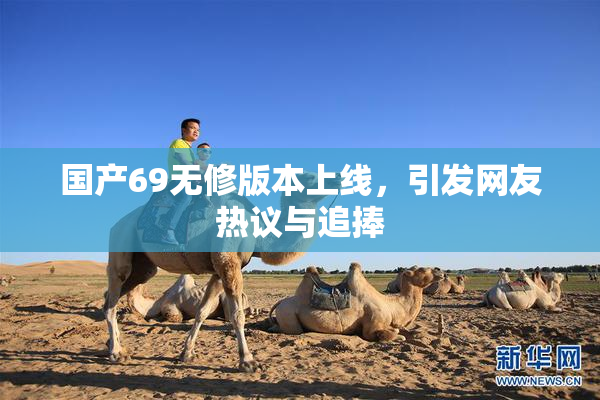 国产69无修版本上线，引发网友热议与追捧