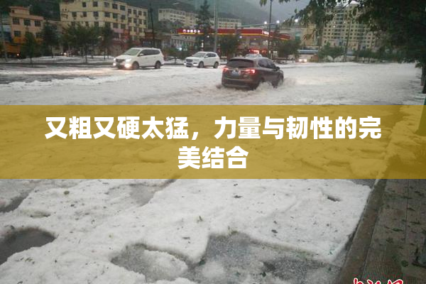 又粗又硬太猛，力量与韧性的完美结合
