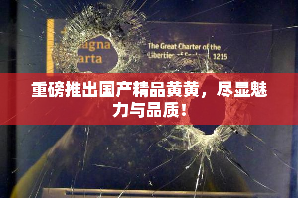 重磅推出国产精品黄黄，尽显魅力与品质！