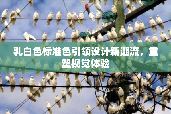 乳白色标准色引领设计新潮流，重塑视觉体验