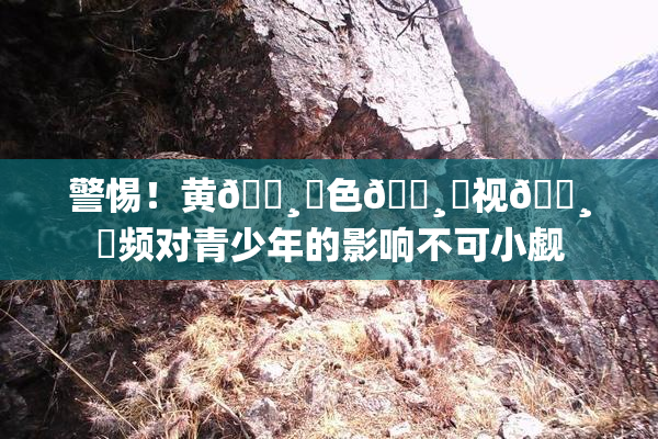 警惕！黄🌸‌色🌸‌视🌸‌频对青少年的影响不可小觑