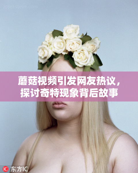 蘑菇视频引发网友热议，探讨奇特现象背后故事