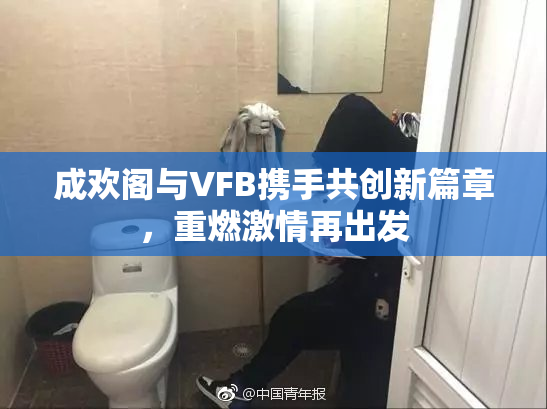 成欢阁与VFB携手共创新篇章，重燃激情再出发