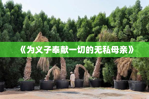 《为义子奉献一切的无私母亲》