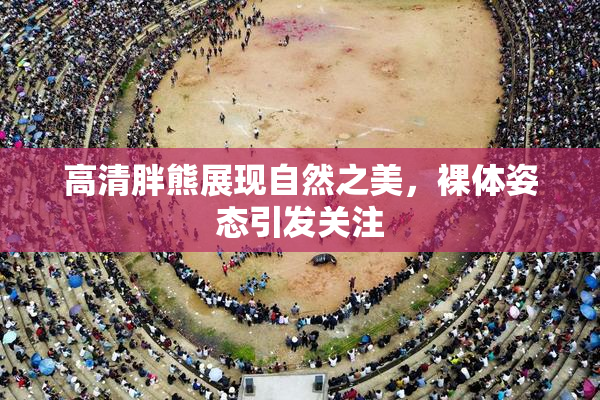 高清胖熊展现自然之美，裸体姿态引发关注