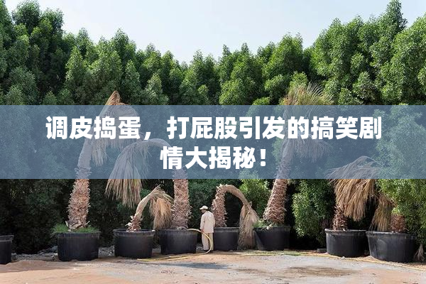 调皮捣蛋，打屁股引发的搞笑剧情大揭秘！