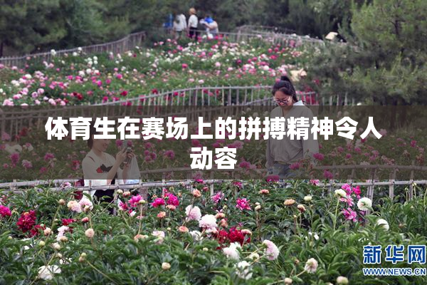 体育生在赛场上的拼搏精神令人动容