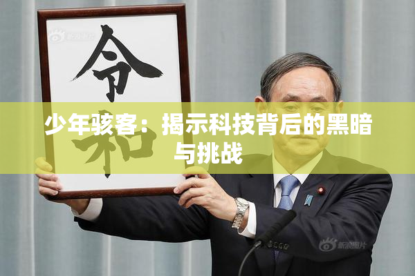 少年骇客：揭示科技背后的黑暗与挑战