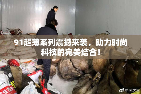 91超薄系列震撼来袭，助力时尚科技的完美结合！