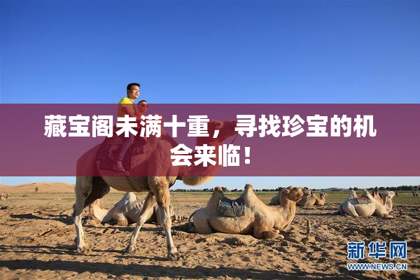 藏宝阁未满十重，寻找珍宝的机会来临！