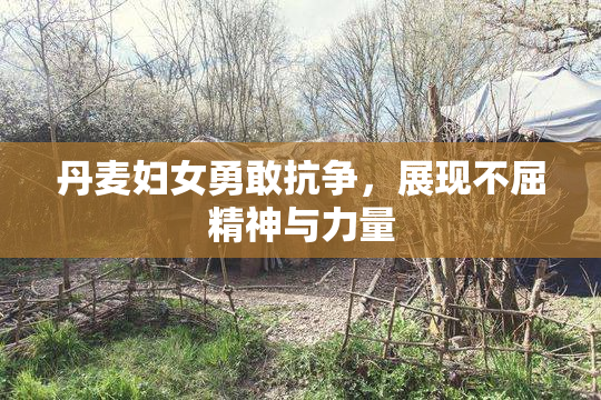 丹麦妇女勇敢抗争，展现不屈精神与力量