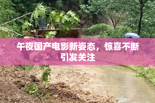 午夜国产电影新姿态，惊喜不断引发关注