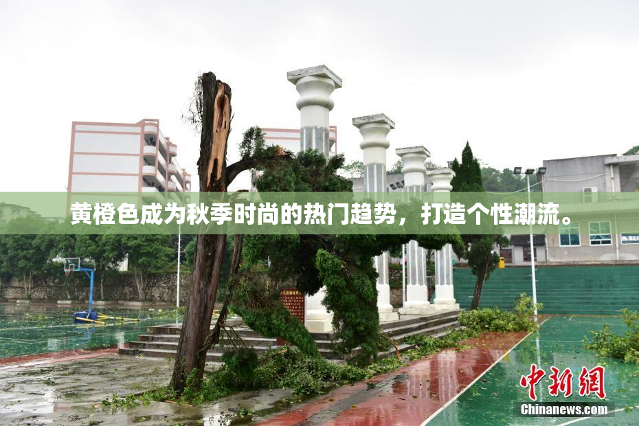 黄橙色成为秋季时尚的热门趋势，打造个性潮流。