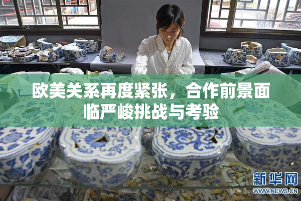 欧美关系再度紧张，合作前景面临严峻挑战与考验