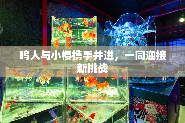 鸣人与小樱携手并进，一同迎接新挑战
