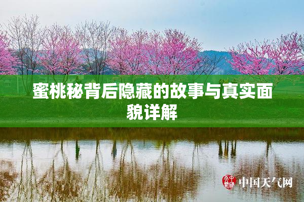 蜜桃秘背后隐藏的故事与真实面貌详解