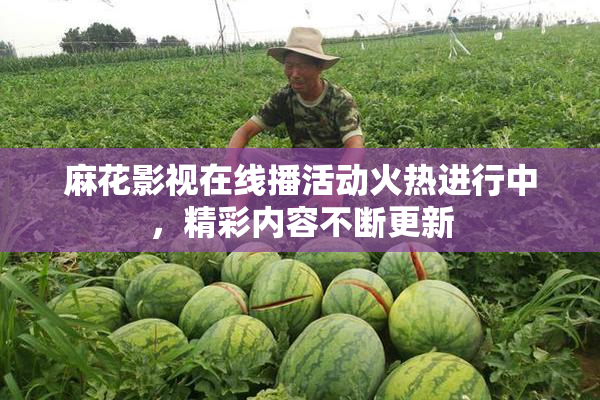 麻花影视在线播活动火热进行中，精彩内容不断更新