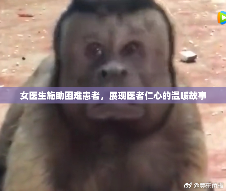 女医生施助困难患者，展现医者仁心的温暖故事
