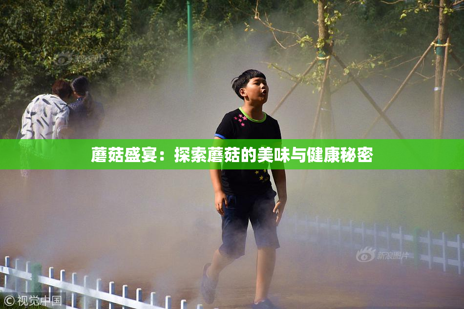蘑菇盛宴：探索蘑菇的美味与健康秘密