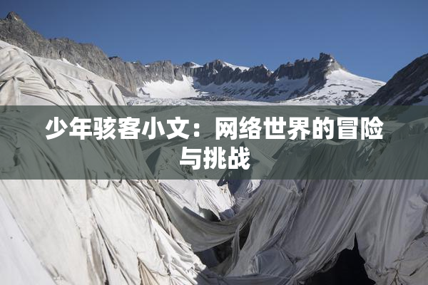 少年骇客小文：网络世界的冒险与挑战