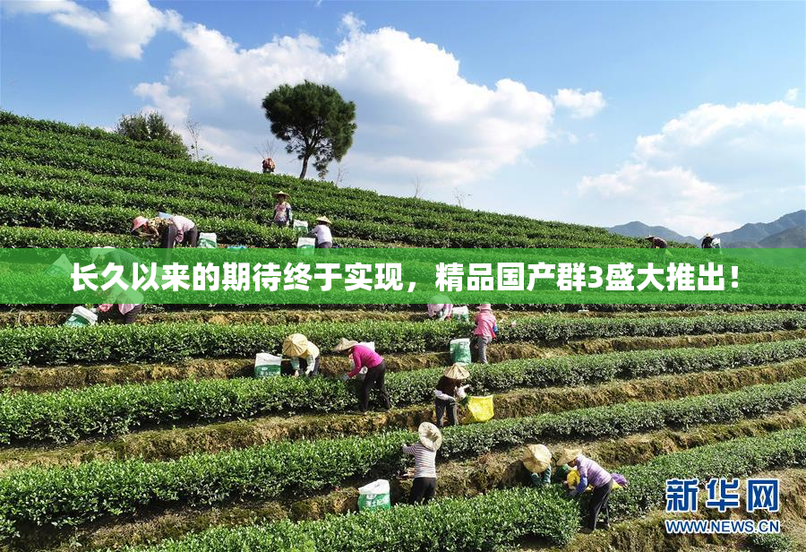 长久以来的期待终于实现，精品国产群3盛大推出！
