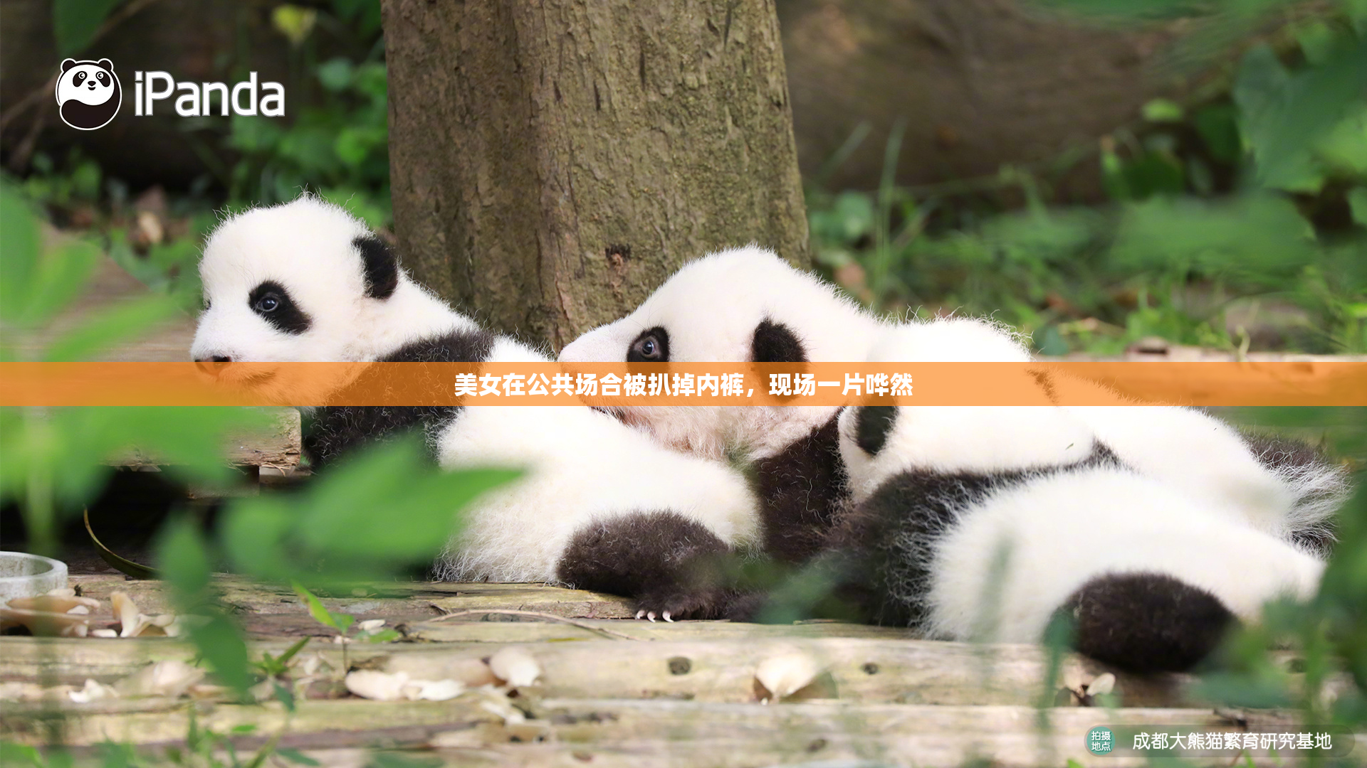 美女在公共场合被扒掉内裤，现场一片哗然