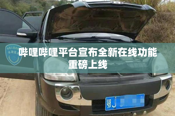 哔哩哔哩平台宣布全新在线功能重磅上线