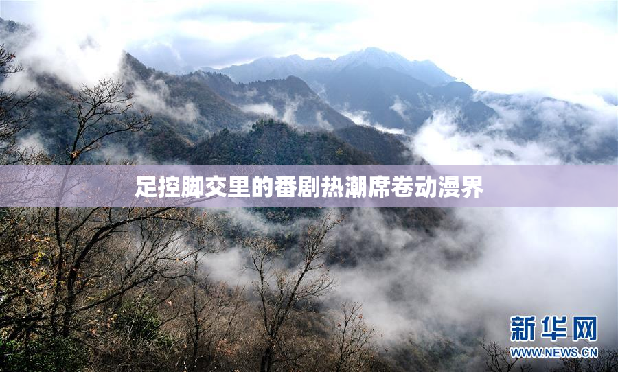 足控脚交里的番剧热潮席卷动漫界
