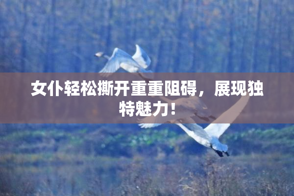女仆轻松撕开重重阻碍，展现独特魅力！