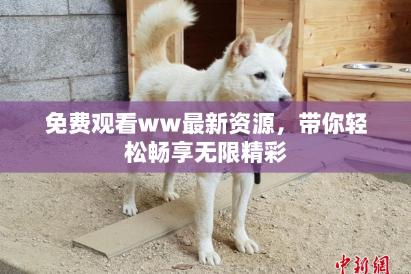 免费观看ww最新资源，带你轻松畅享无限精彩