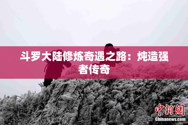 斗罗大陆修炼奇遇之路：炖造强者传奇