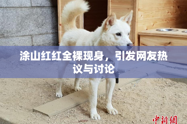 涂山红红全裸现身，引发网友热议与讨论