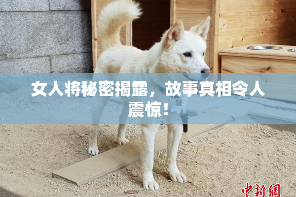 女人将秘密揭露，故事真相令人震惊！