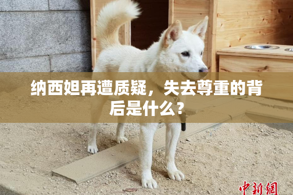 纳西妲再遭质疑，失去尊重的背后是什么？