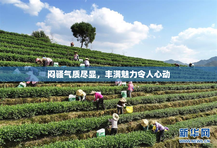 闷骚气质尽显，丰满魅力令人心动
