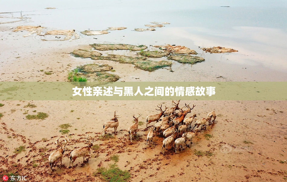 女性亲述与黑人之间的情感故事