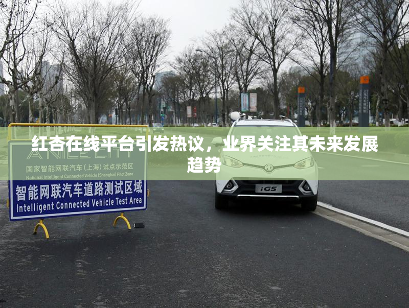 红杏在线平台引发热议，业界关注其未来发展趋势